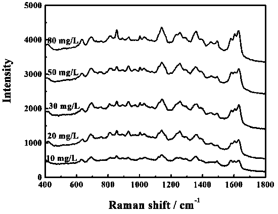 Cytochrome detection method based on surface enhanced Raman