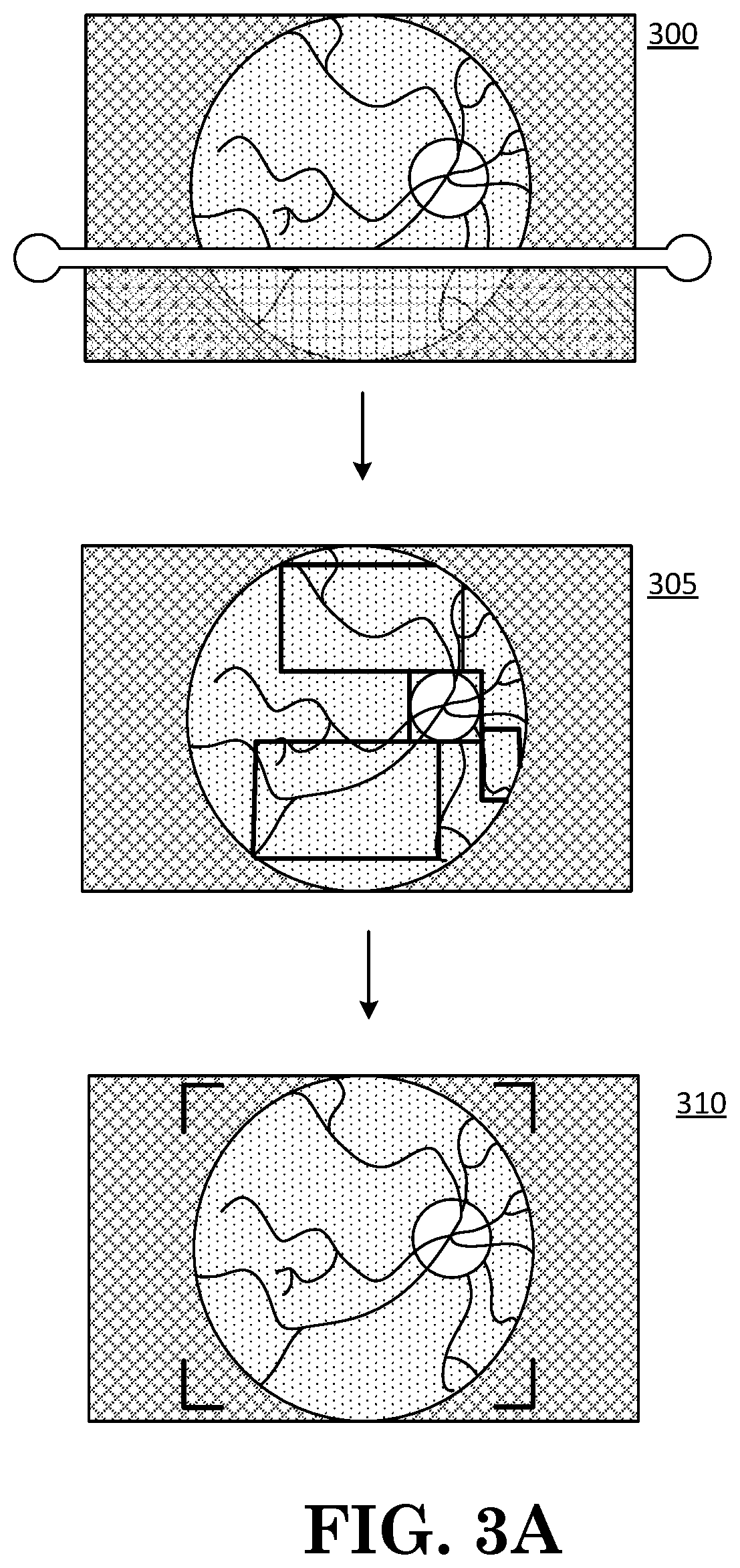 Methods and apparatus for screening for maladies by retinal scan