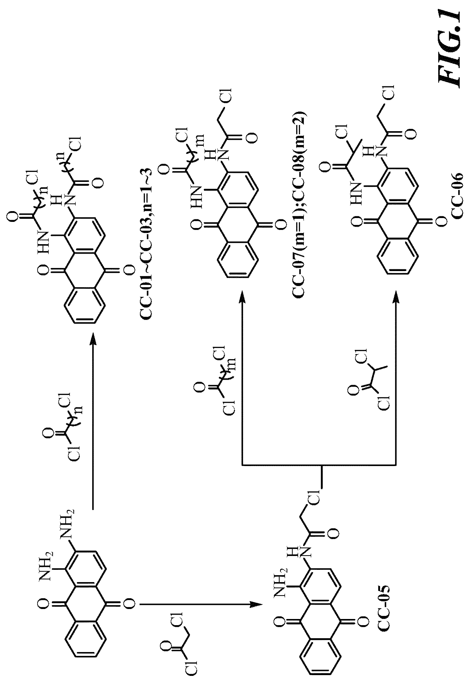 1, 2-disubstituted amido-anthraquinone derivatives, preparation method and application thereof