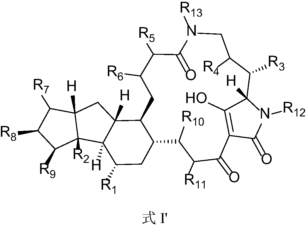 5,5,6-polycyclic tetramic-acid containing macrocyclic lactam compound and preparation method and application thereof