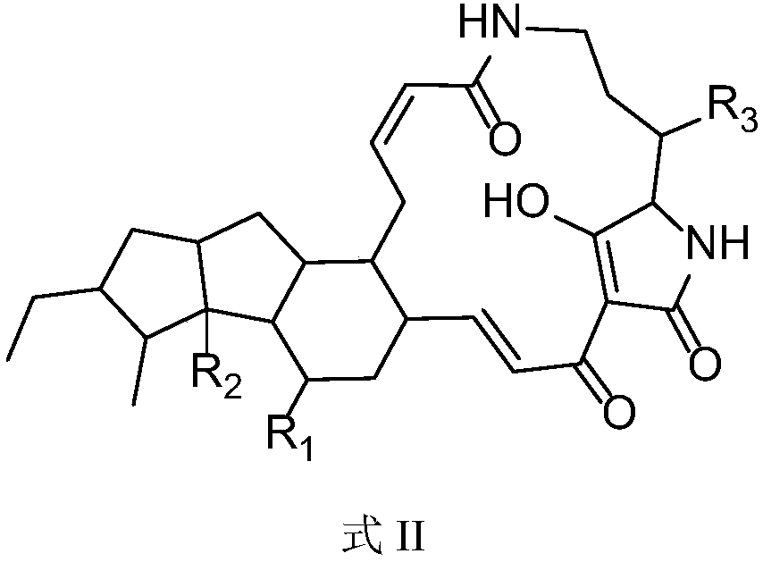 5,5,6-polycyclic tetramic-acid containing macrocyclic lactam compound and preparation method and application thereof