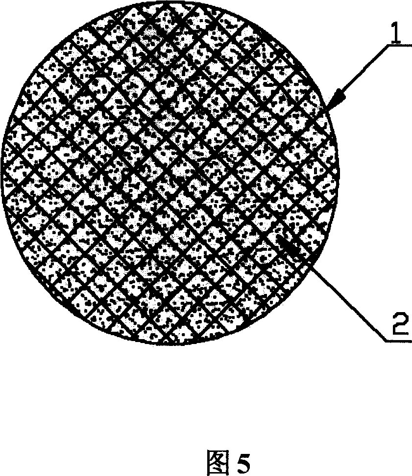 Photo-sensitive stent with restricture-proof function