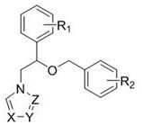 Use of miconazole and its derivatives as Tgr5 agonists