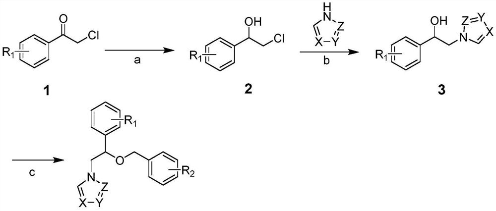 Use of miconazole and its derivatives as Tgr5 agonists