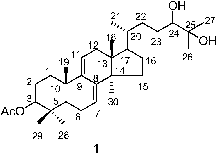 Triterpene compound and its preparation method and application