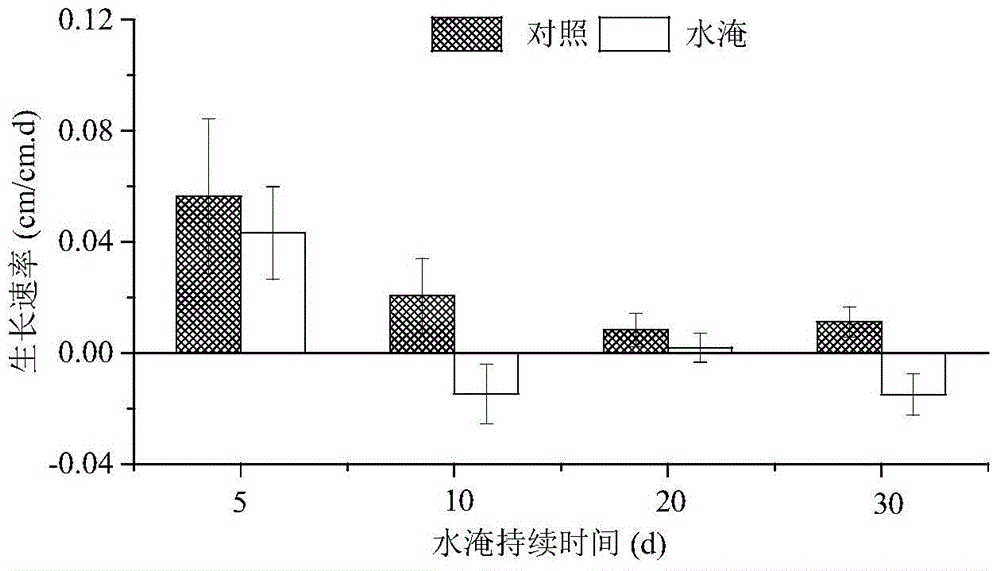 Method for repairing reservoir hydro-fluctuation belt by use of bermuda grass