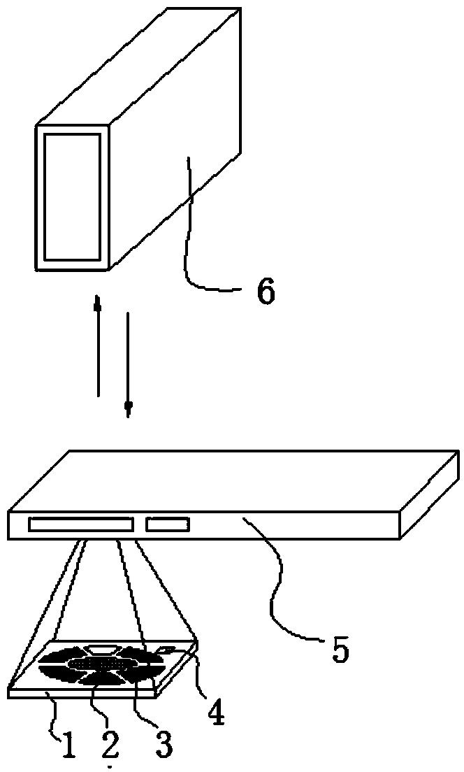 Network-based colorimetric detection system