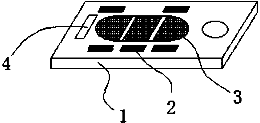 Network-based colorimetric detection system