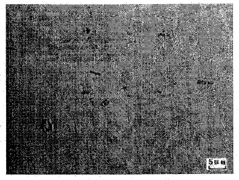 Method for making high-performance electrophoresis aluminum alloy construction section bar