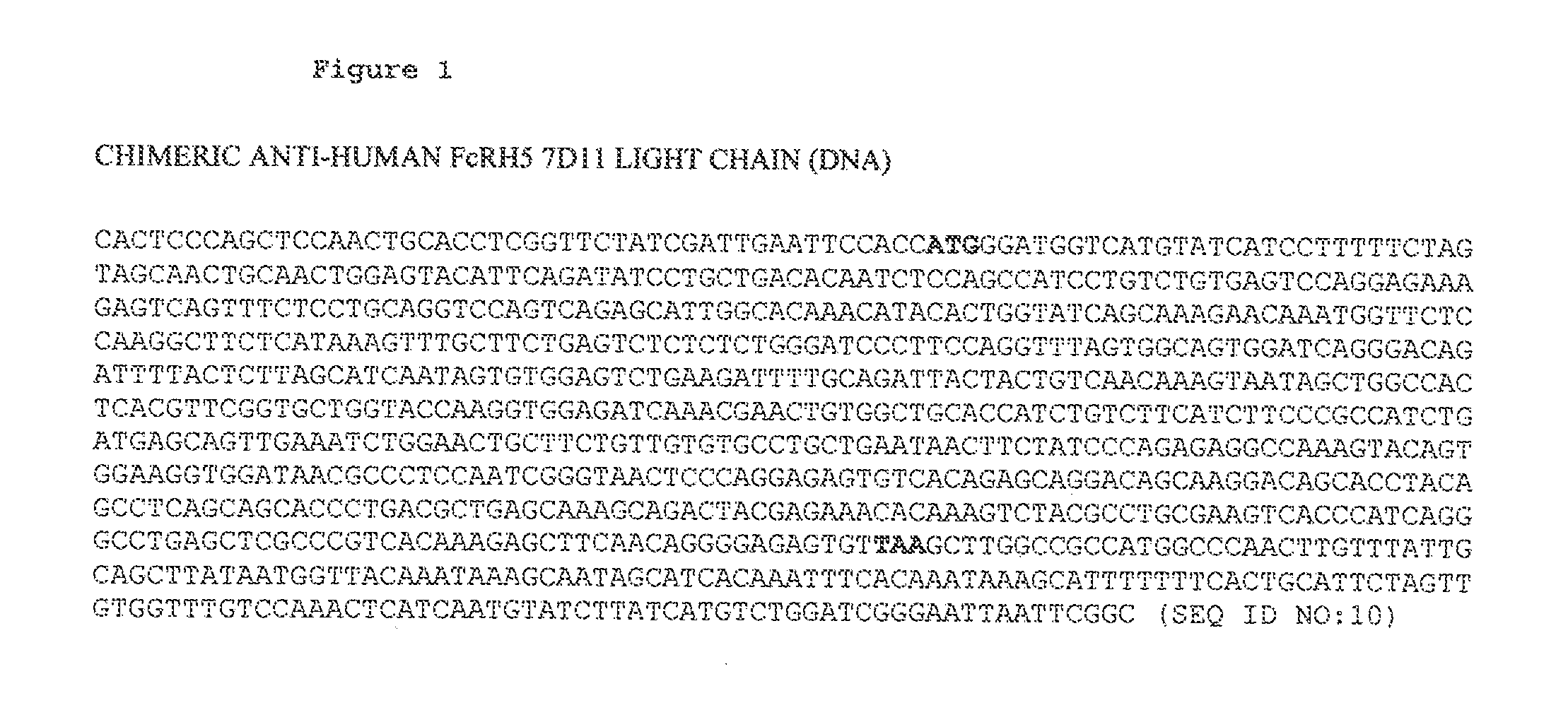 ANTI-FcRH5 ANTIBODIES AND IMMUNOCONJUGATES AND METHODS OF USE