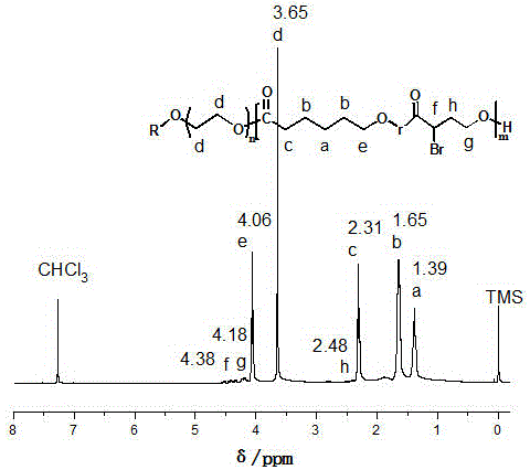 Synthetic method for amphiphilic polyethylene glycol (PEG)-polycyclic lactone copolymer including multiple bromine functional groups and thermo-sensitive polymer preparing method