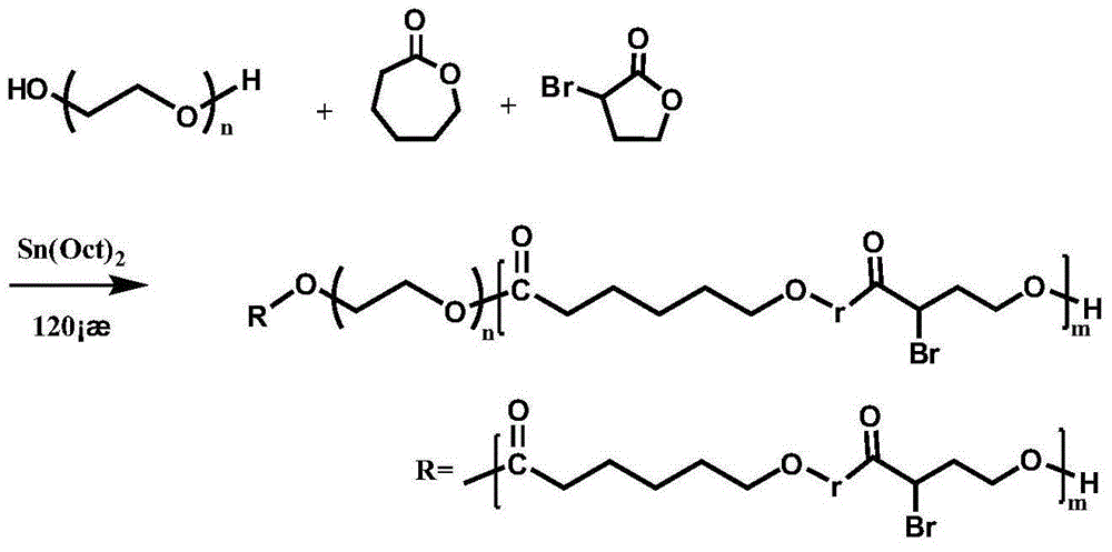 Synthetic method for amphiphilic polyethylene glycol (PEG)-polycyclic lactone copolymer including multiple bromine functional groups and thermo-sensitive polymer preparing method