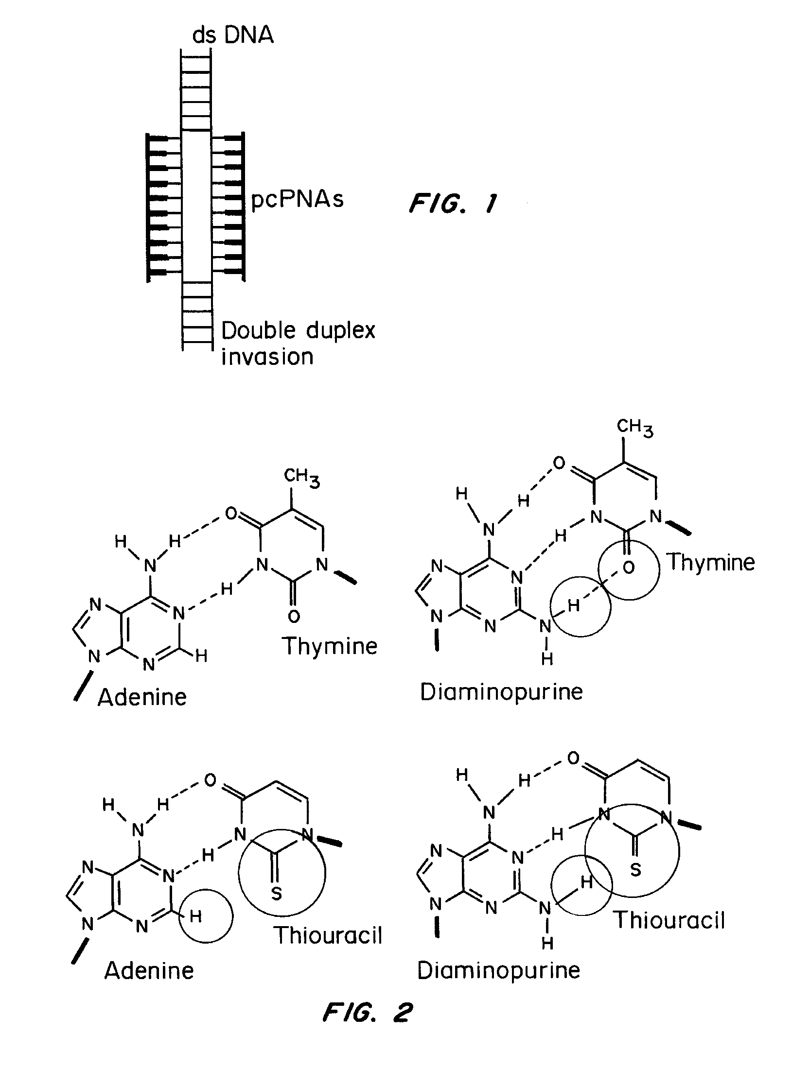 Pseudocomplementary Oligonucleotides for Targeted Gene Therapy