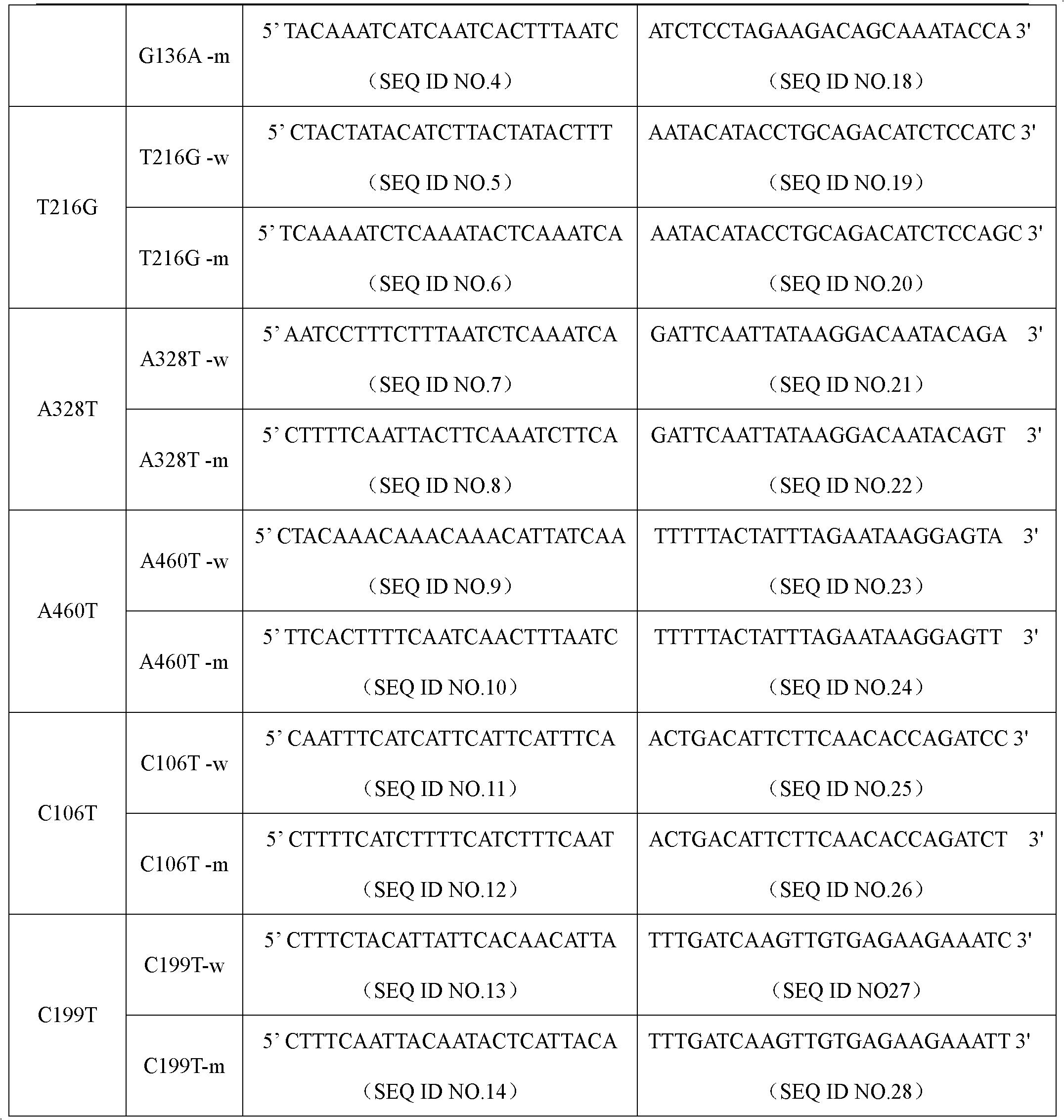 Specific primer and liquid chip for detecting polymorphism of NAT1 (N-acetyltransferase 1) gene