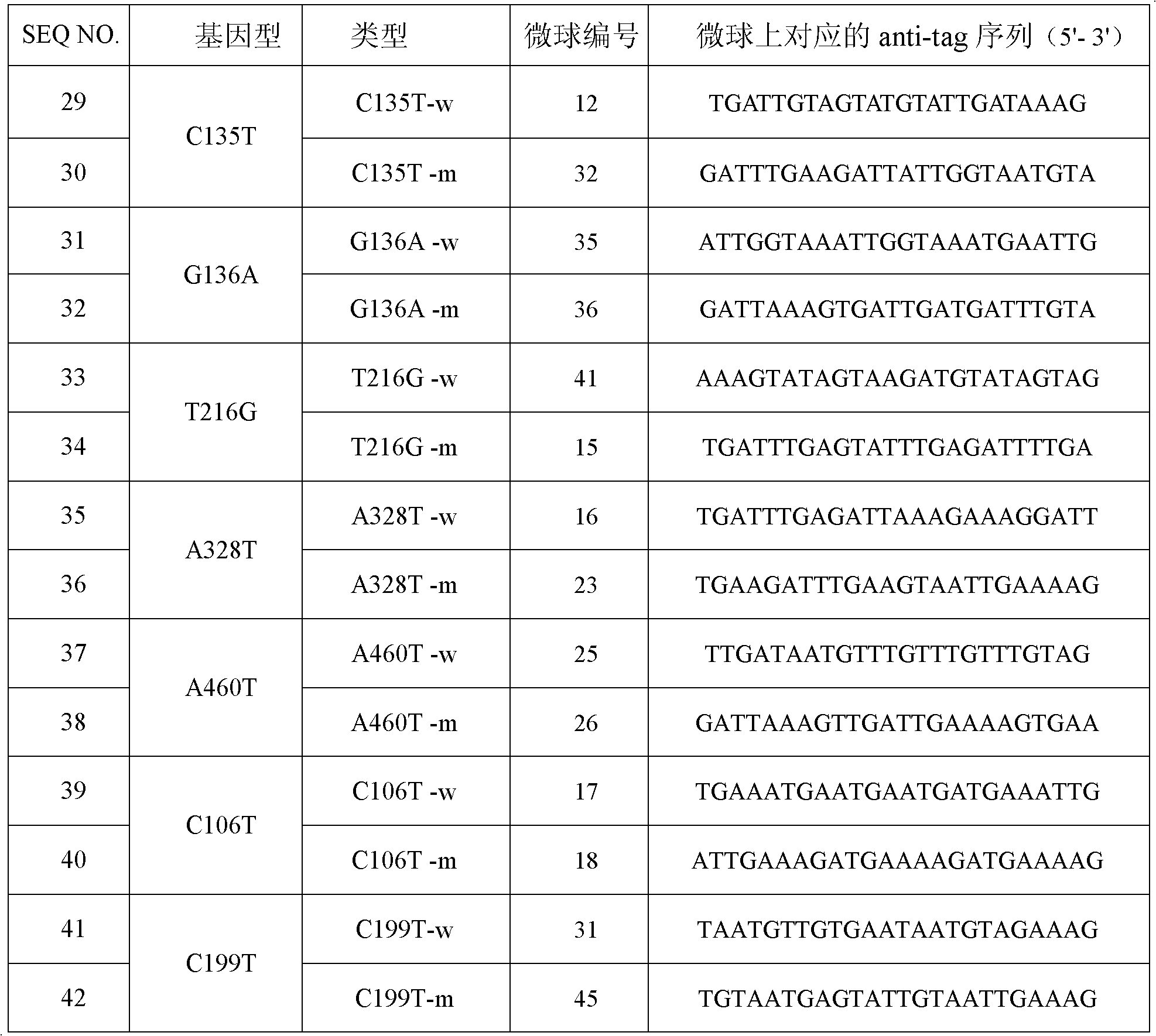 Specific primer and liquid chip for detecting polymorphism of NAT1 (N-acetyltransferase 1) gene