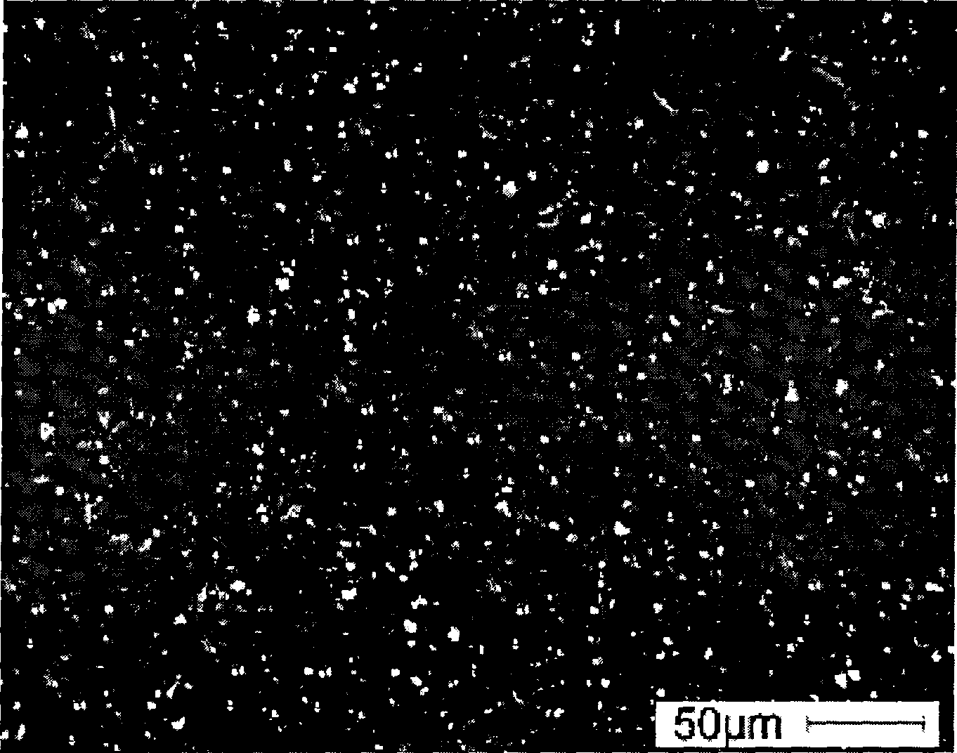 Metal matrix composition home-position synthesizing method in combined electric magnetic field