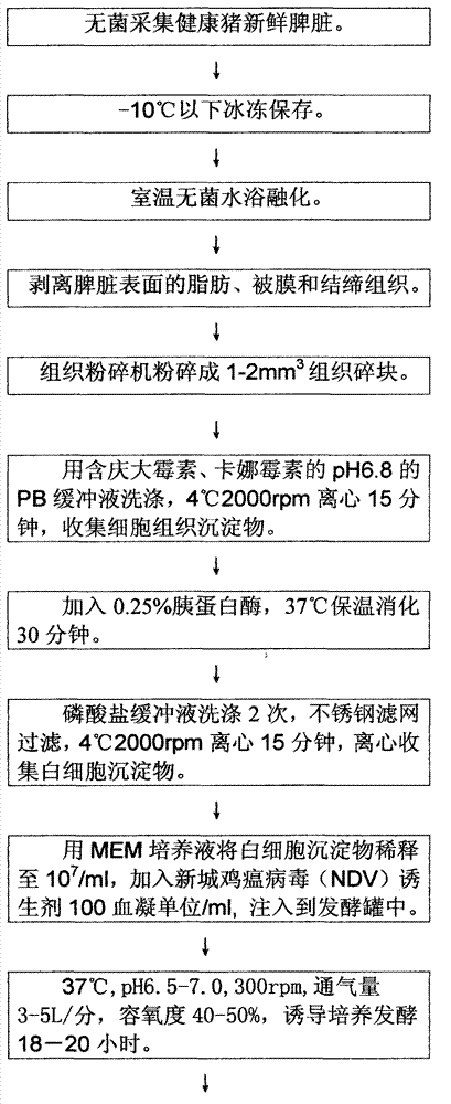 High-efficiency producing method for purified porcine leukocyte interferon by employing porcine spleen