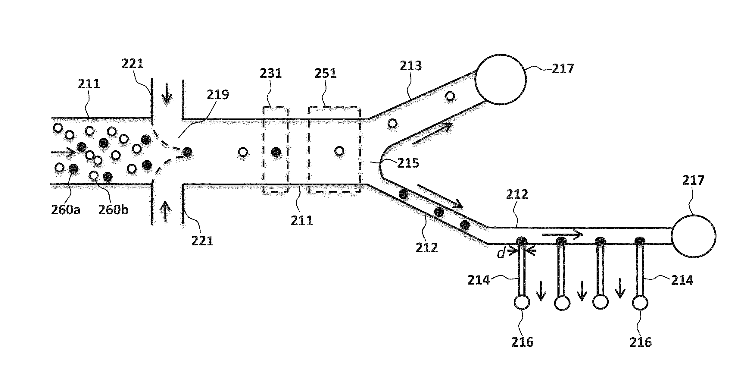 High-throughput single-cell imaging, sorting, and isolation