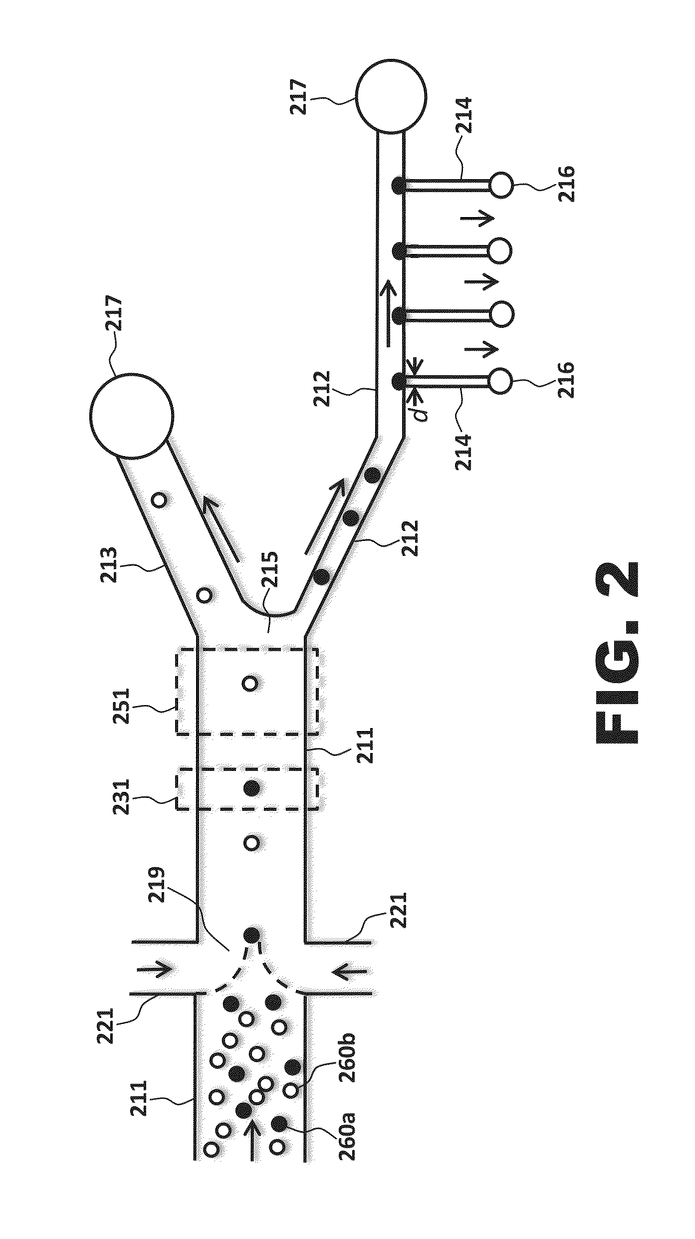 High-throughput single-cell imaging, sorting, and isolation