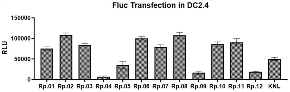 Nanoparticle as well as preparation method and application thereof