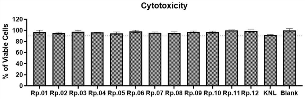 Nanoparticle as well as preparation method and application thereof