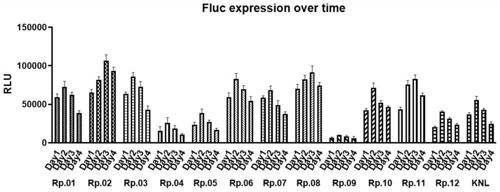 Nanoparticle as well as preparation method and application thereof