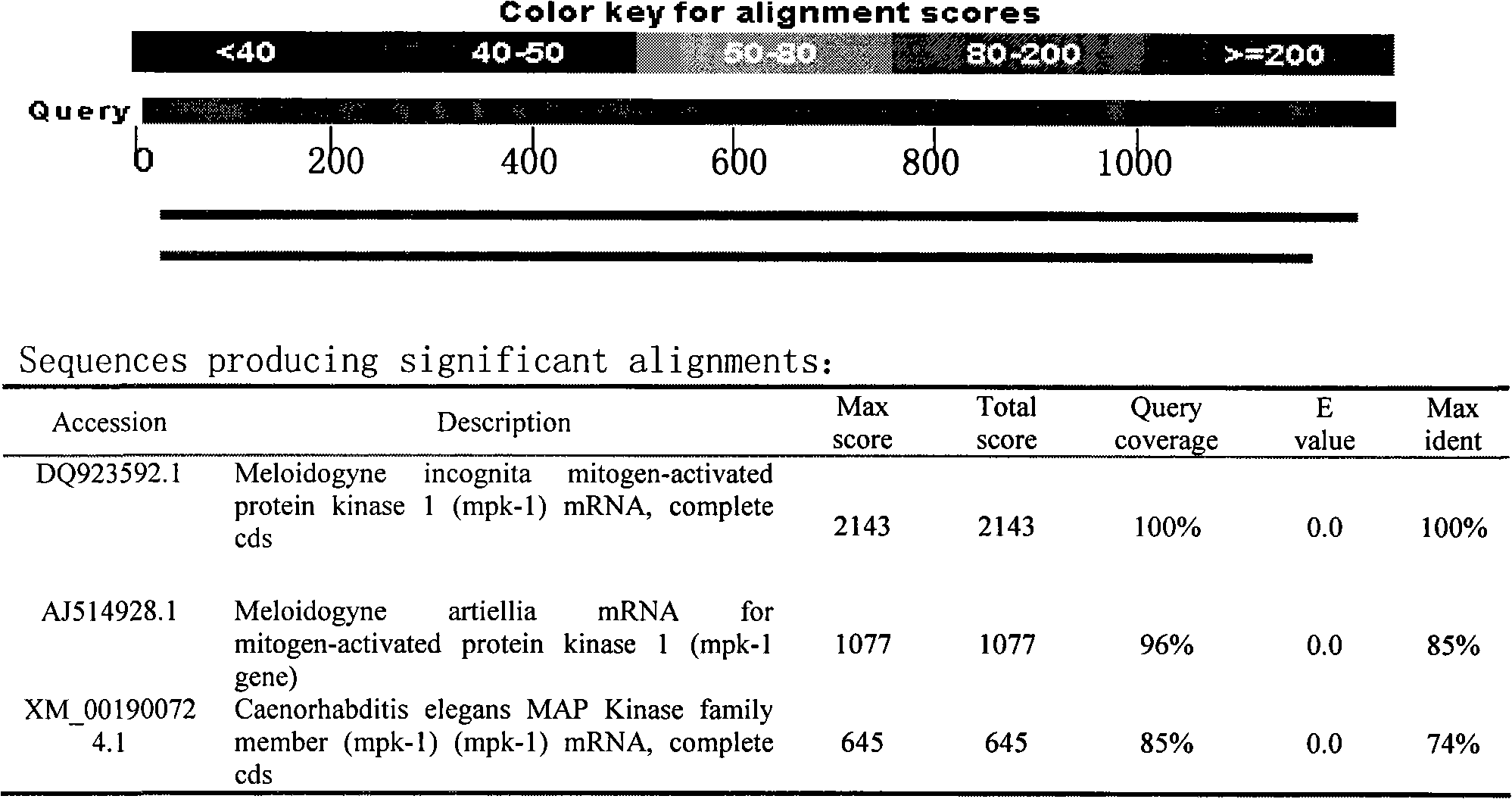 RNA interference vector and use thereof