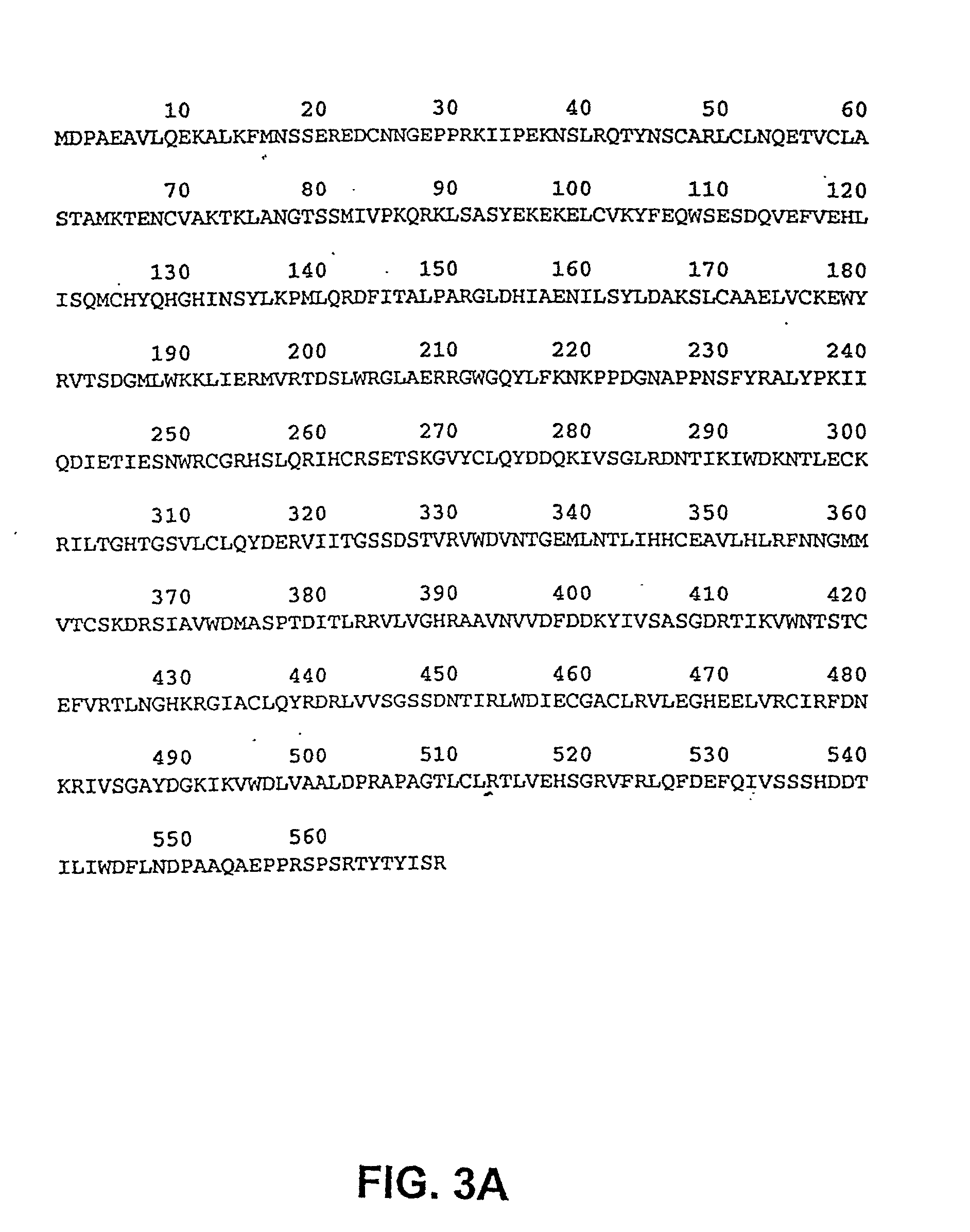 Methods to identify compounds useful for the treatment of proliferative and differentiative disorders