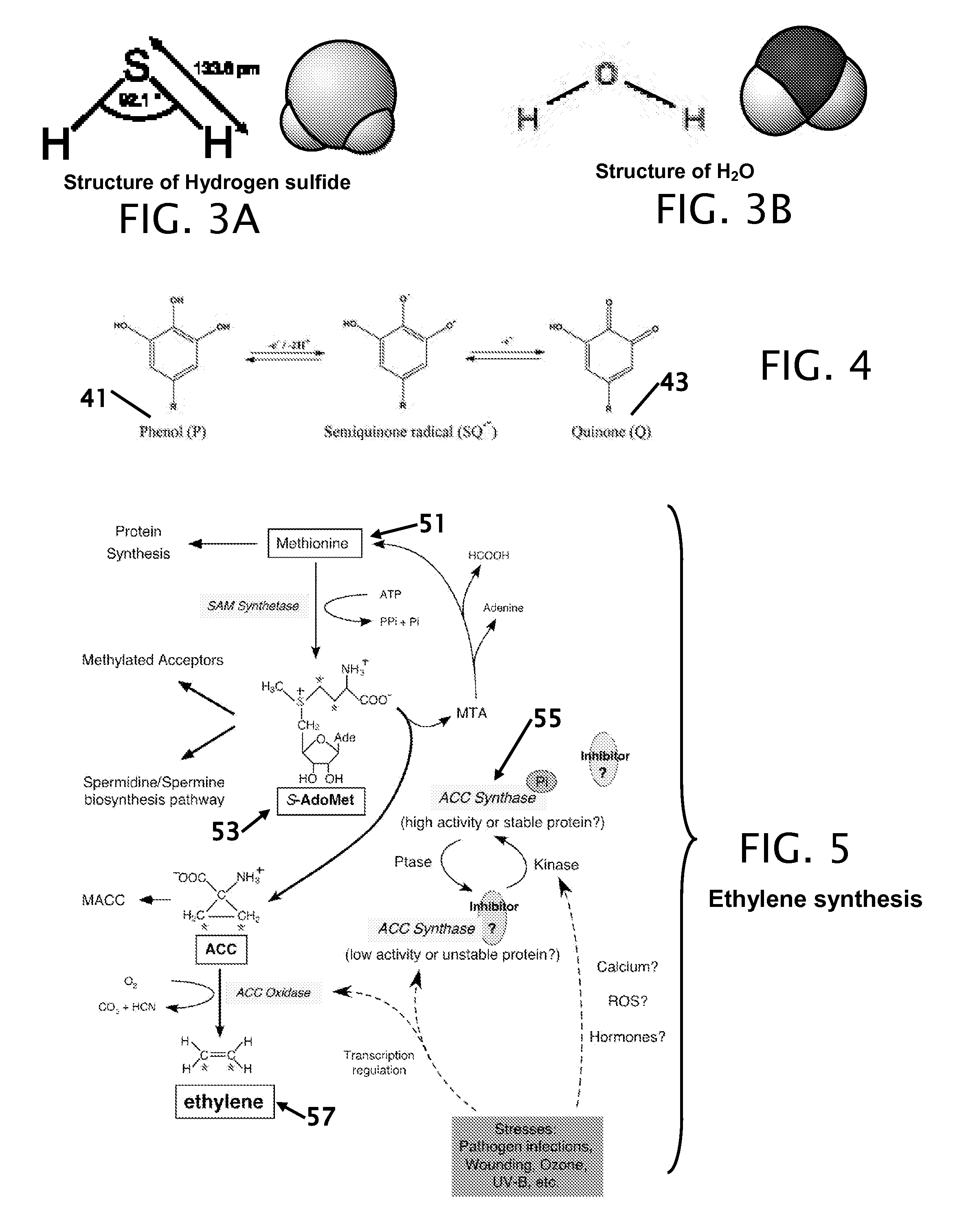 Process of food preservation with hydrogen sulfide