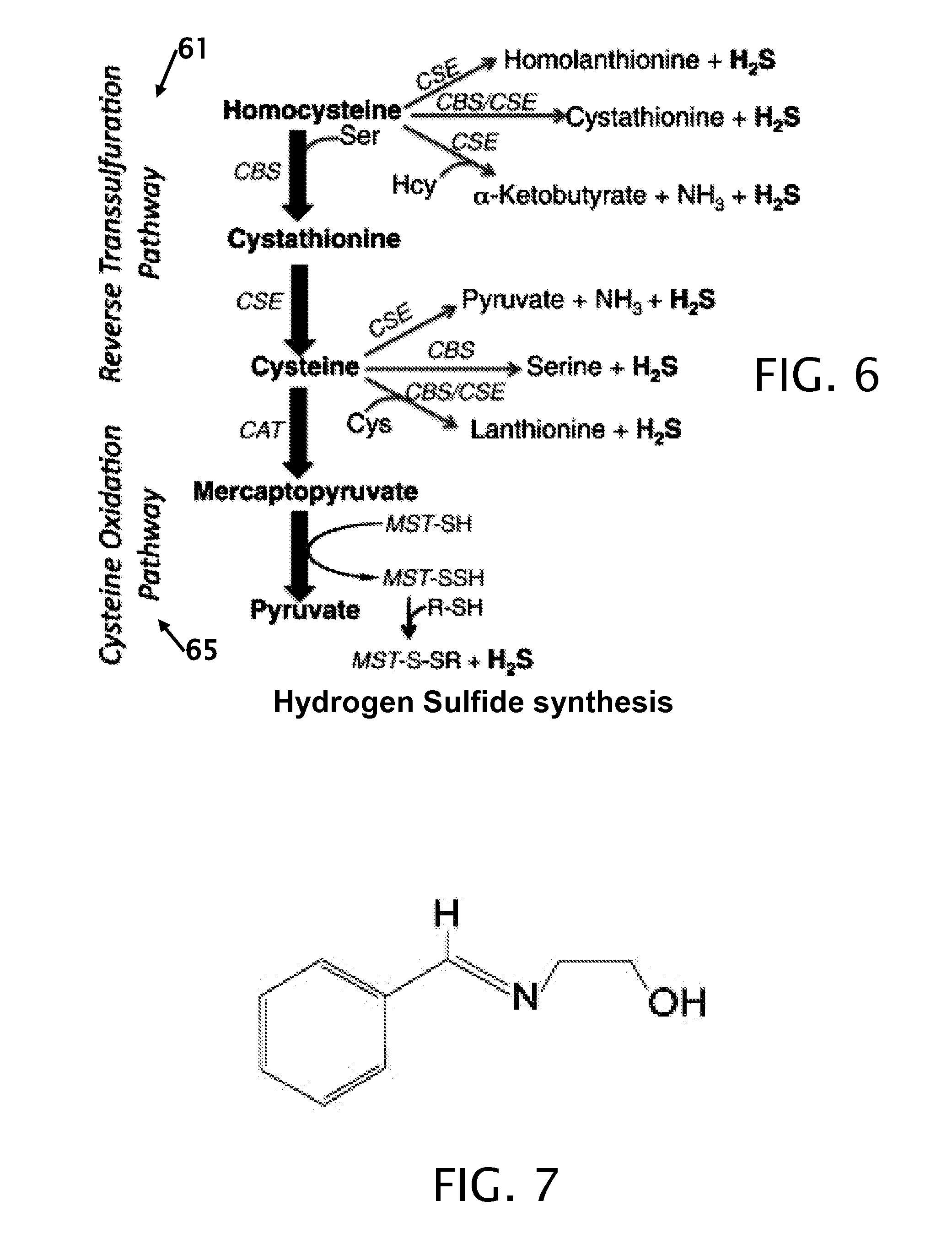 Process of food preservation with hydrogen sulfide