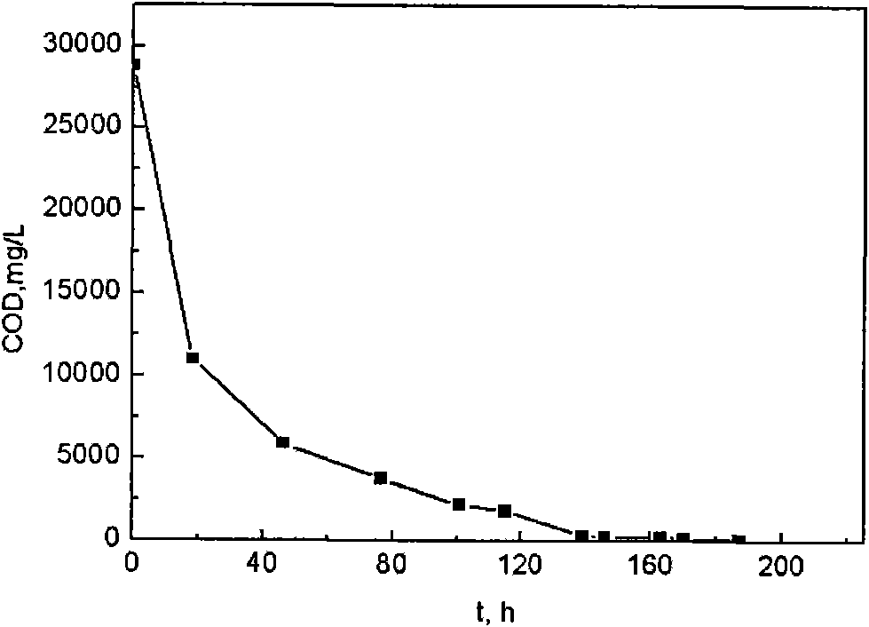 Method for preparing organic pollutant-degrading electrode material