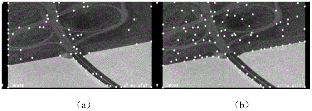 Infrared and visible-light different-source image matching method based on context of line segments