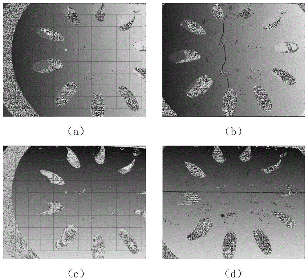 Real-time Adjustment Method of Accuracy of Surface Scanning 3D Measurement System