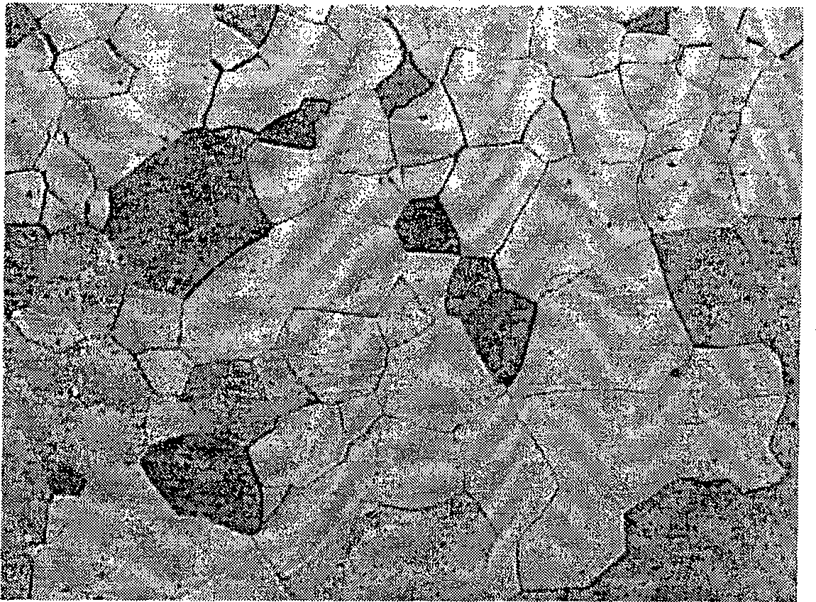 Composite etchant for 409L ferritic stainless steel and use method thereof