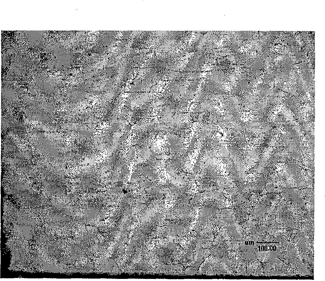 Composite etchant for 409L ferritic stainless steel and use method thereof