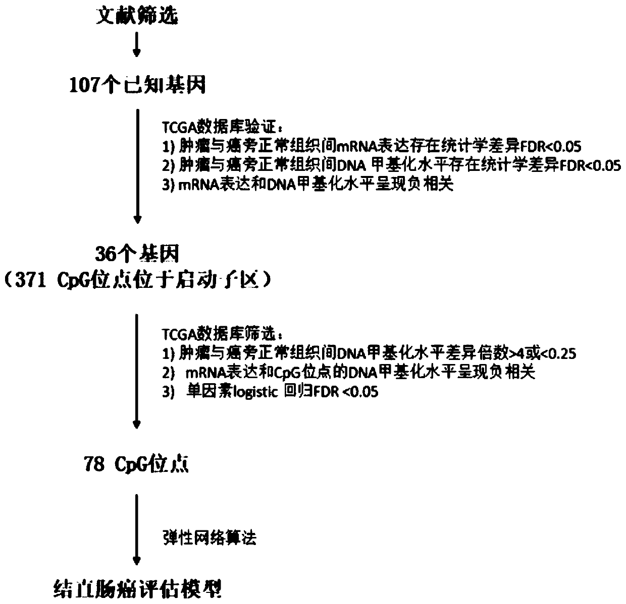 Colorectal cancer judgment model for distinguishing cancer tissue of colorectal cancer from paracancerous normal tissue and establishing method of colorectal cancer judgment model