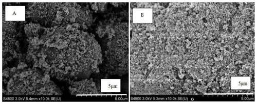 Method for improving flavor of potamocorbula enzymatic hydrolysate by photocatalysis combined with fermentation