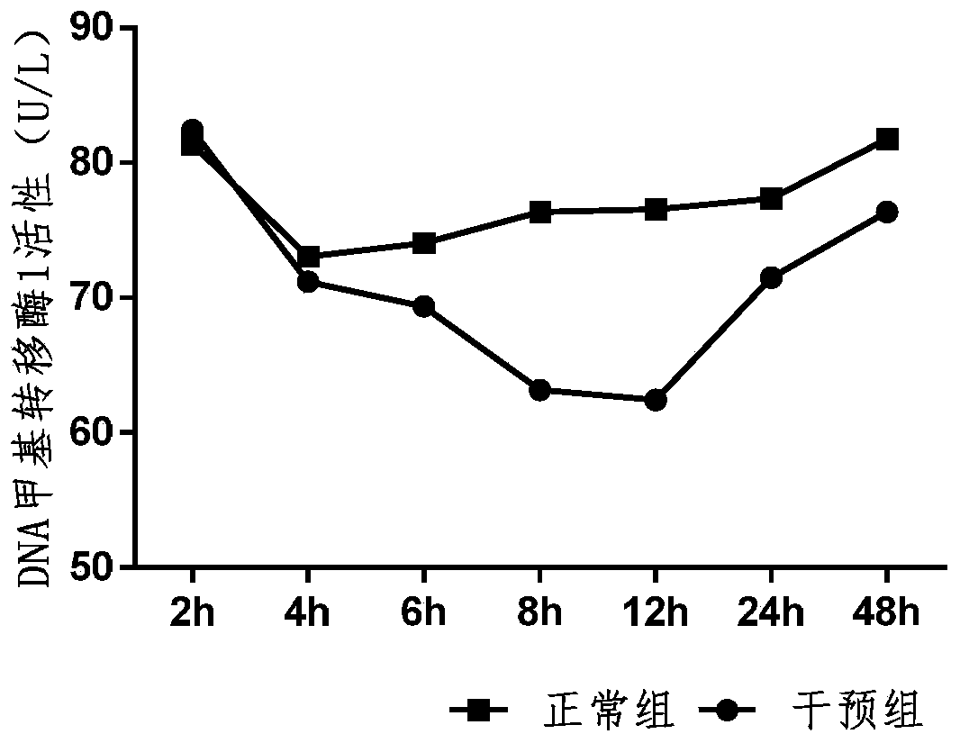 Application of DNA methyltransferase inhibitor to construction of neural tube defect mouse model