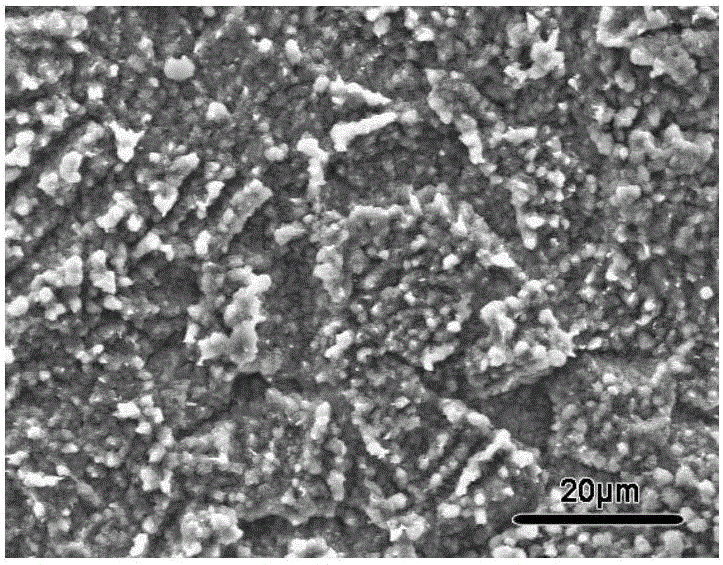 Method for preparing dicalicium phosphate anhydrous (DCPA) bioceramic coating on surface of pure titanium