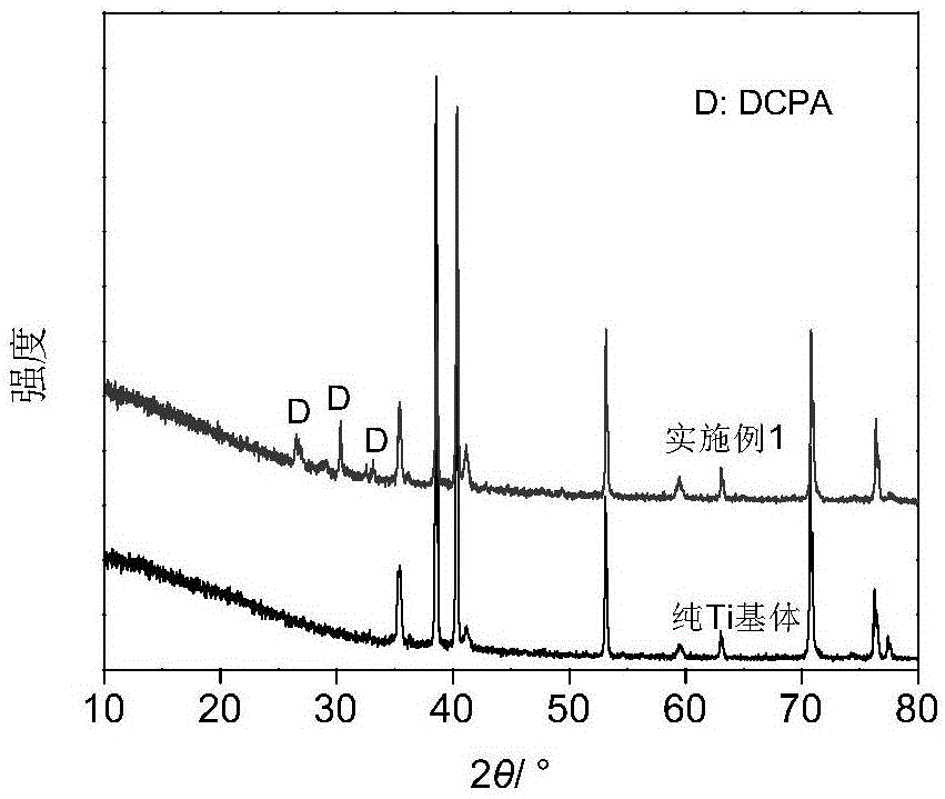 Method for preparing dicalicium phosphate anhydrous (DCPA) bioceramic coating on surface of pure titanium