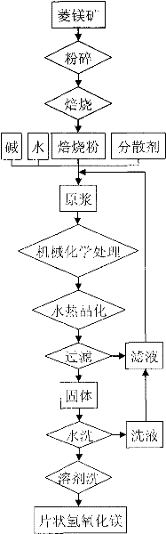 Method for preparing submicron flaky magnesium hydroxide from magnesite