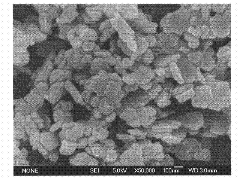 Method for preparing submicron flaky magnesium hydroxide from magnesite