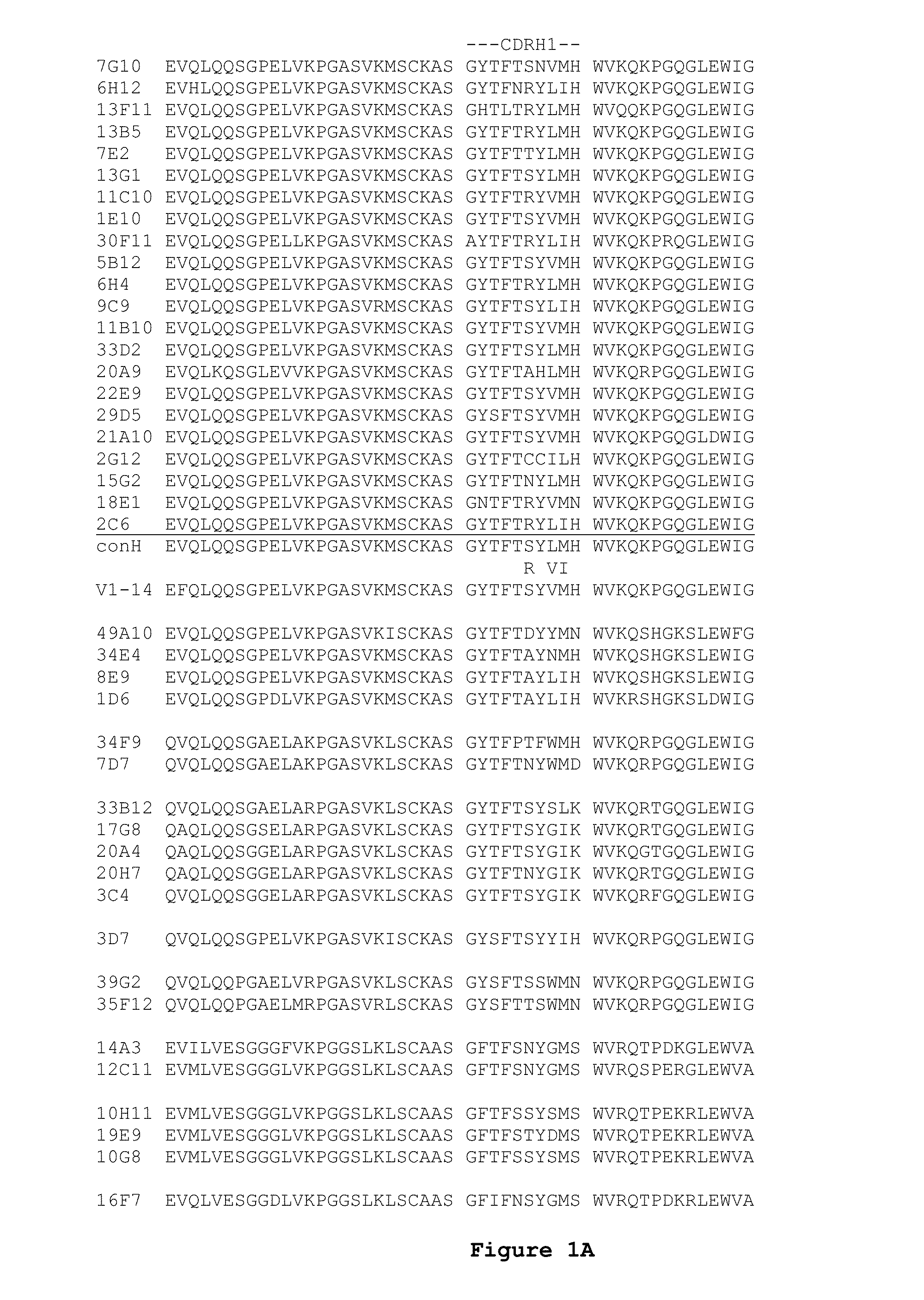 ENGINEERED ANTI-IL-23p19 ANTIBODIES