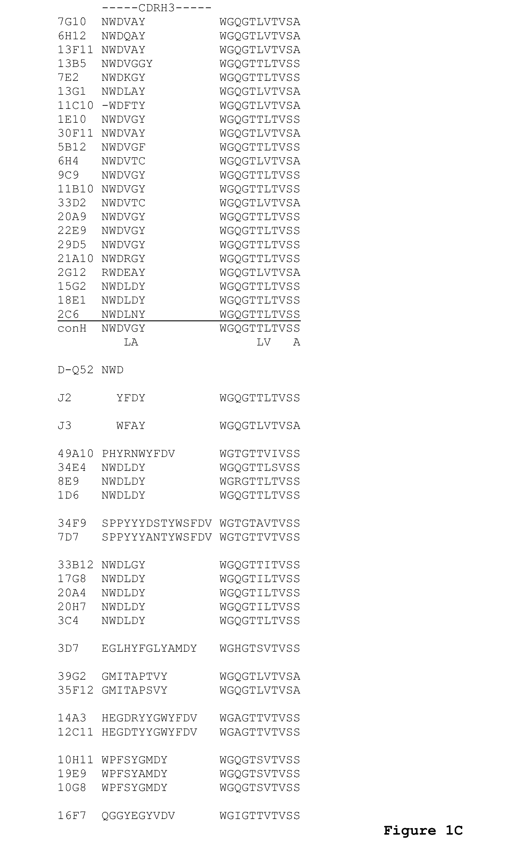 ENGINEERED ANTI-IL-23p19 ANTIBODIES