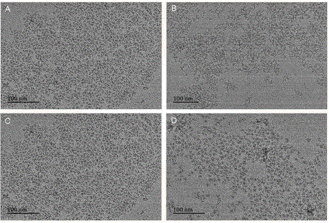 A method of a low -temperature two -phase synthesis method for cadmium sulfide quantum dots