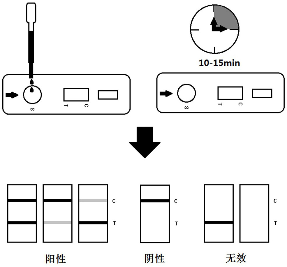 Antigen diluent and immunodeficiency virus detection kit