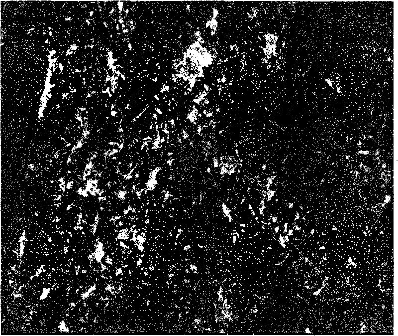 Light metal surface laser impact micronano particle injection reinforcing method