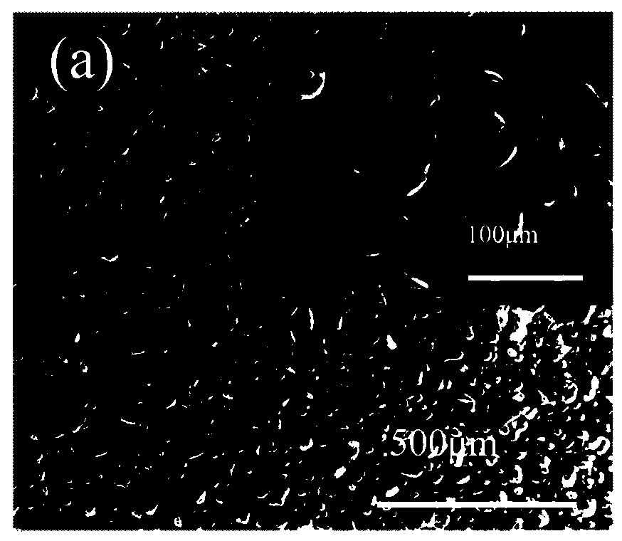 Flexible conductive composite film and preparation method thereof, and flexible pressure sensor and preparation method thereof