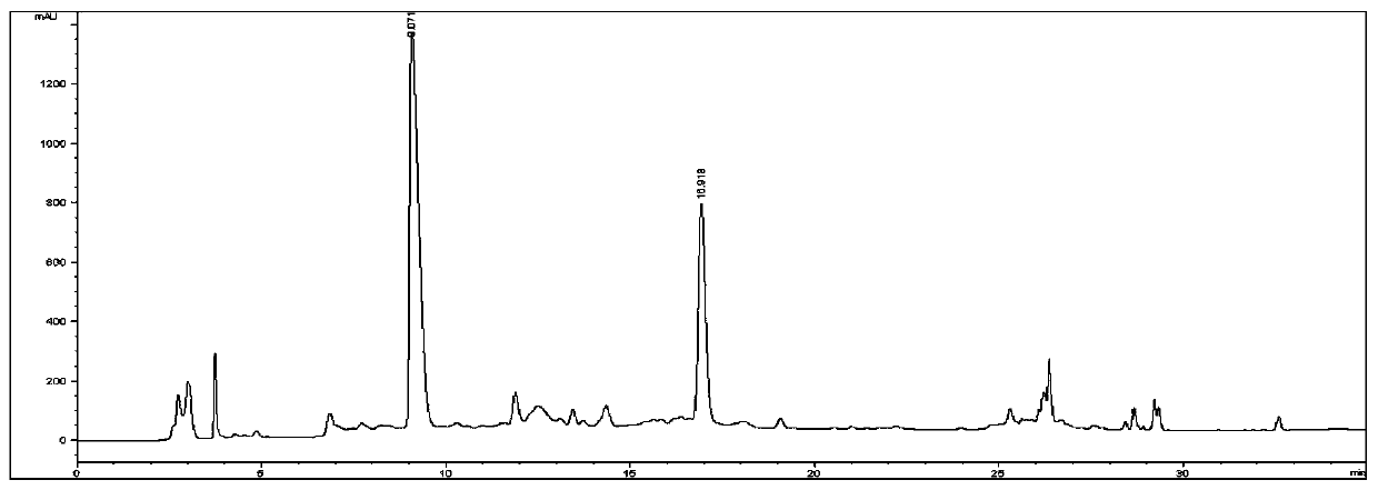 Method for preparing safflower extract through eutectic solvent