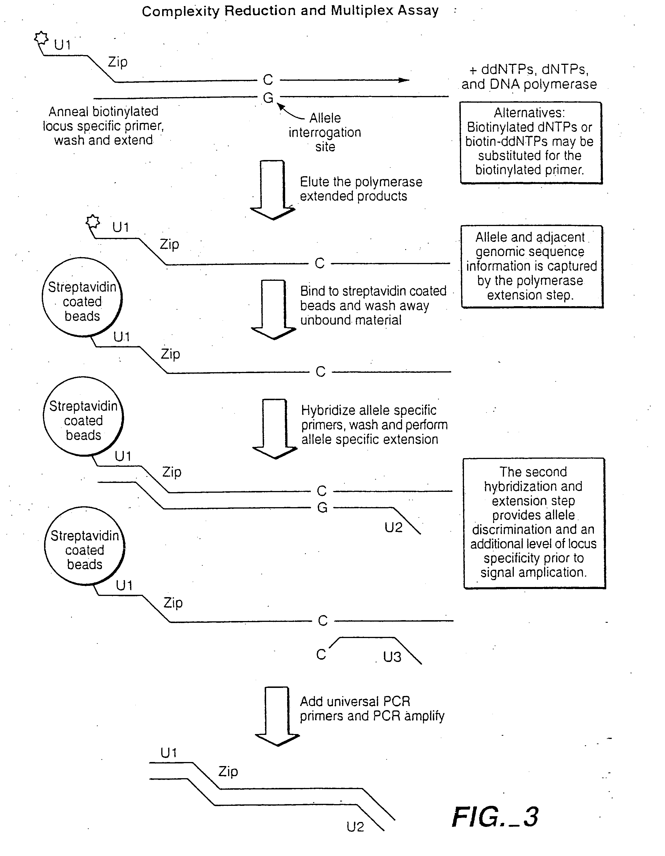 Multiplex sample analysis on universal arrays